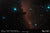 Celestron Origin Intelligent Home Observatory Telescope - Sample Image - Horse Head Nebula | Celestron Origin Intelligent Home Observatory Telescope (12099)