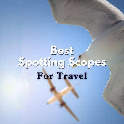 Meilleures lunettes d’observation pour les voyages