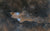 Optolong L-Quad Enhance Filter (L-QEF) Quad Bandpass Light Pollution Suppression Filter (OPT-L-QEF-2) | Optolong L-Quad Enhance Filter (L-QEF) Quad Bandpass Light Pollution Suppression Filter (OPT-L-QEF-2)