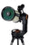 Nexstar Evolution 8 Hd Compouterized Telescope With Starsense By Celestron - All-Star Telescope Canada - For All Things Astro, Binoculars, And Science | Celestron NexStar Evolution 8 HD Computerized Telescope w/ StarSense (12096)