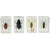 Celestron 3D Bug Specimen Kit #1 (44407) - All-Star Telescope Canada - For All Things Astro, Binoculars, and Science | Celestron 3D Bug Specimen Kit #1 (44407)