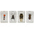 Celestron 3D Bug Specimen Kit #3 (44409) - All-Star Telescope Canada - For All Things Astro, Binoculars, and Science | Celestron 3D Bug Specimen Kit #3 (44409)