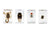 Celestron 3D Bug Specimen Kit #4 (44424) - All-Star Telescope Canada - For All Things Astro, Binoculars, and Science | Celestron 3D Bug Specimen Kit #4 (44424)
