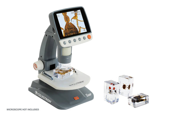 Celestron 3D Bug Specimen Kit #4 (44424) - All-Star Telescope Canada - For All Things Astro, Binoculars, And Science | Celestron 3D Bug Specimen Kit #4 (44424)