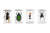 Celestron 3D Bug Specimen Kit #5 (44425) - All-Star Telescope Canada - For All Things Astro, Binoculars, and Science | Celestron 3D Bug Specimen Kit #5 (44425)