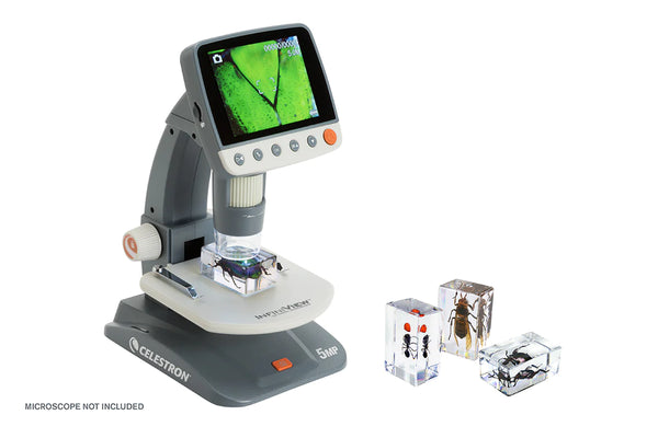 Celestron 3D Bug Specimen Kit #5 (44425) - All-Star Telescope Canada - For All Things Astro, Binoculars, And Science | Celestron 3D Bug Specimen Kit #5 (44425)
