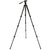 Celestron Regal Premium Tripod (82052) - All-Star Telescope Canada - For All Things Astro, Binoculars, and Science | Trépied Celestron Regal Premium (82052)