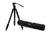 Celestron Regal Premium Tripod (82052) - All-Star Telescope Canada - For All Things Astro, Binoculars, And Science | Trépied Celestron Regal Premium (82052)