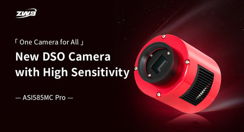 12_500x500.jpg?v=1709050178