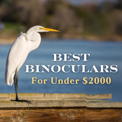 Best Binoculars Under $2000