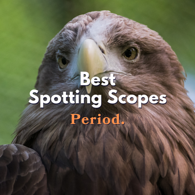 Best Spotting Scopes at Any Price