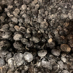 Bulk Rock Tumbling Rough - Apache Tears