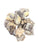 Septarian Rough Specimens | Bulk Rock Tumbling Rough - Septarian